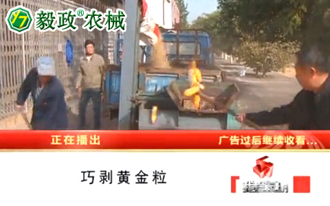 中央電視臺(tái)10套《我愛(ài)發(fā)明》之“巧剝黃金?！卑l(fā)明人袁毅